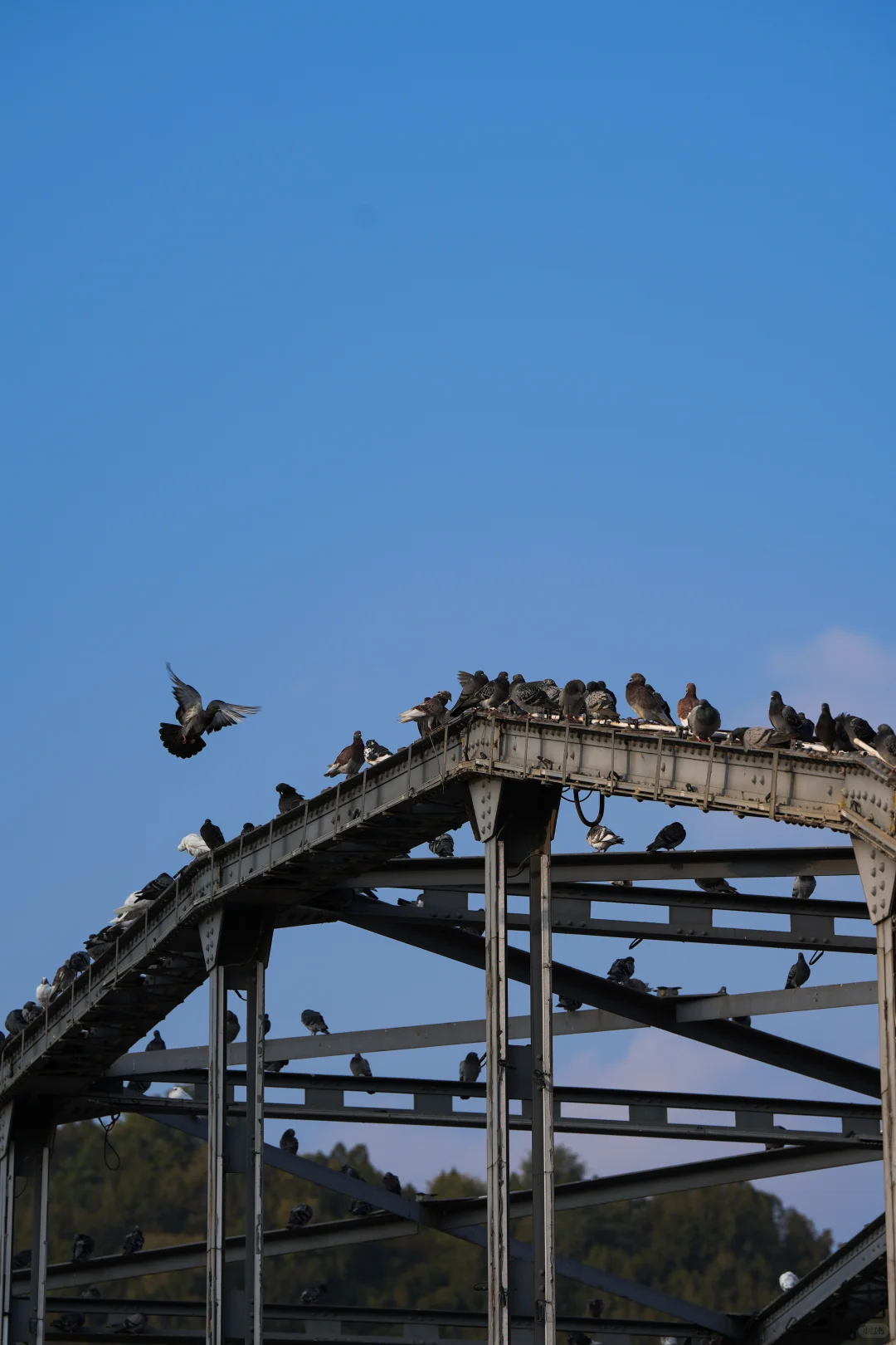 兰州第1天｜中山桥➕白塔山公园