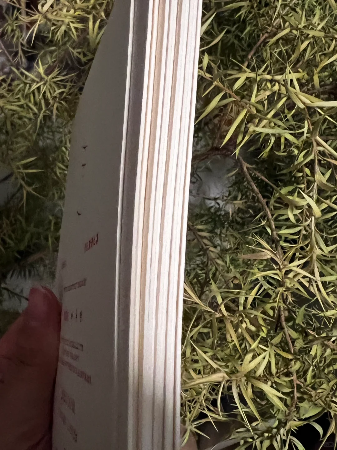 凹凸印的请帖质感拉满