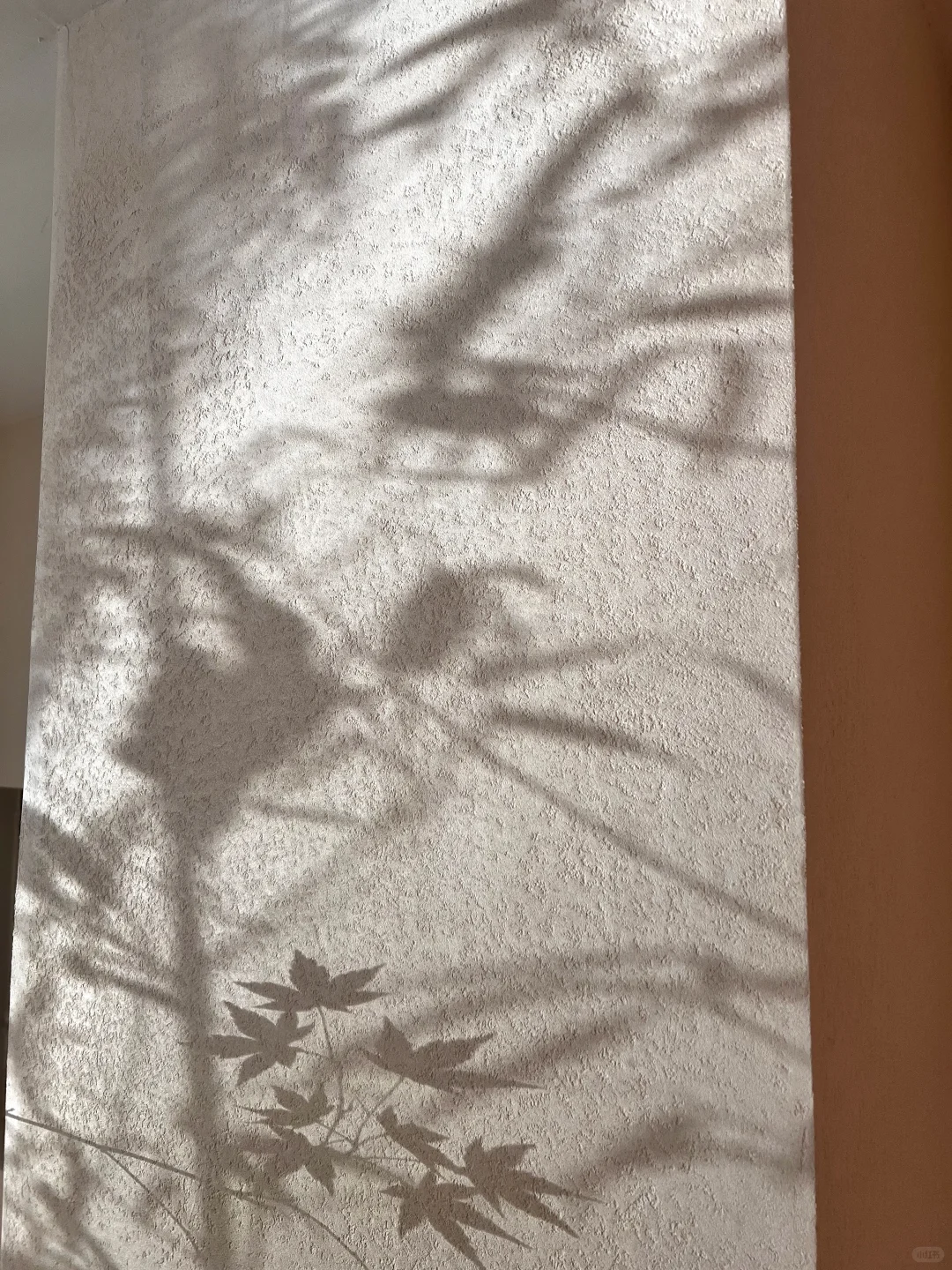 自然光影下的莱姆岩石灰墙面