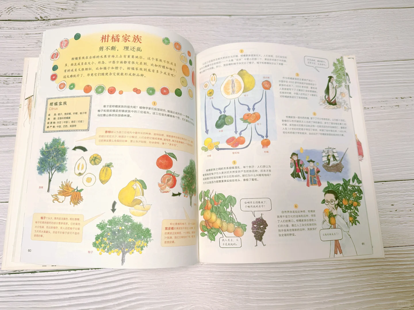 ? 它是「衣食无忧」时代最好的感恩教育。