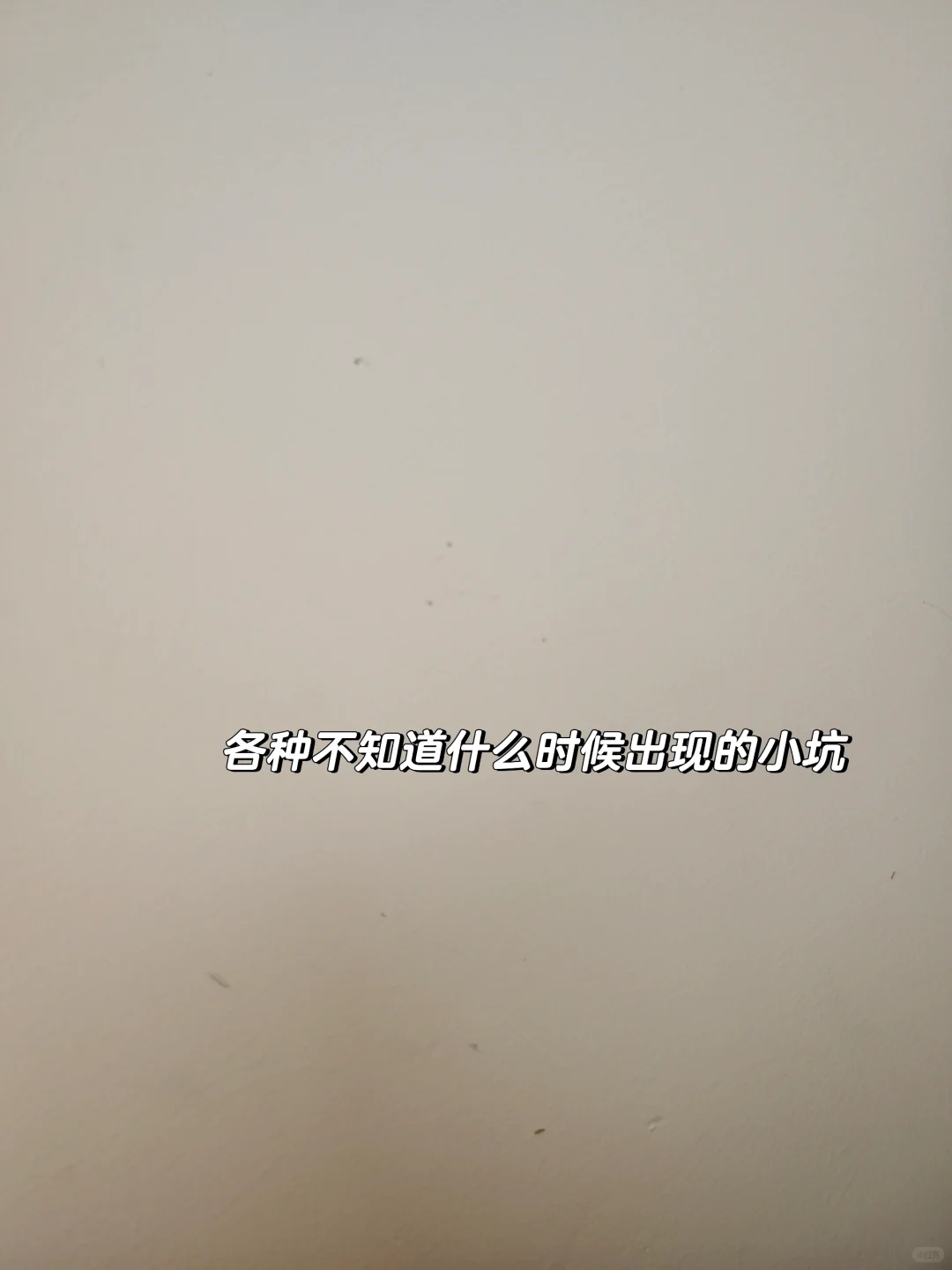 乳胶漆你才是真正的小娇妻吧！