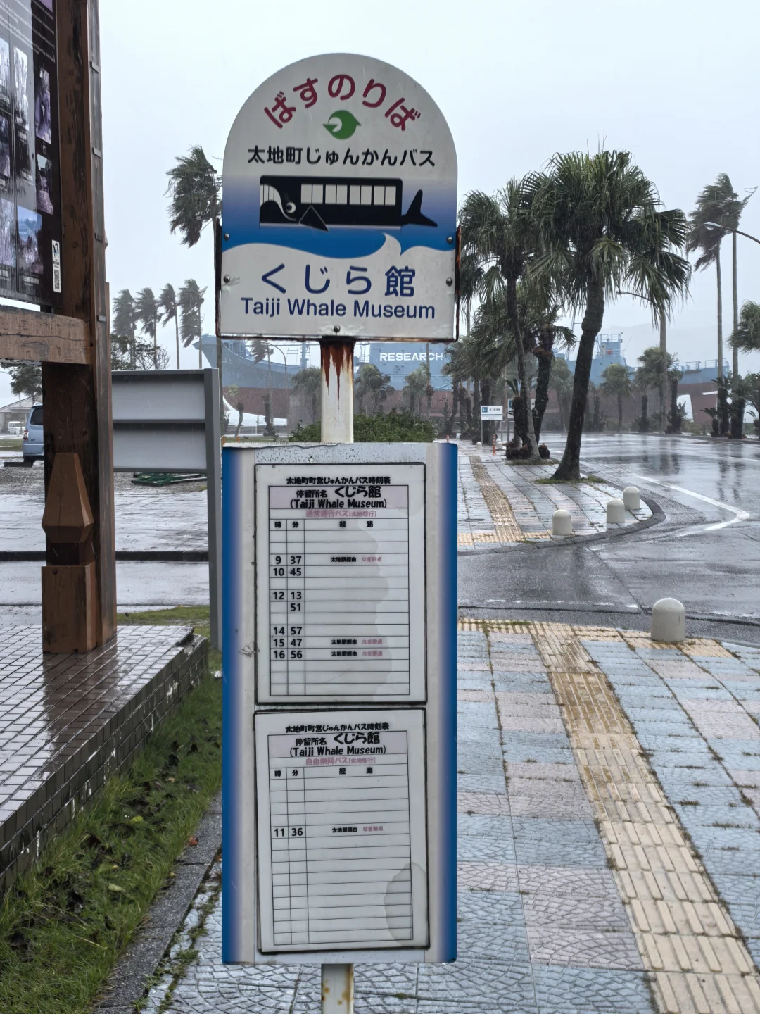 日本关西地区纪伊半岛和歌山太地町，海豚湾