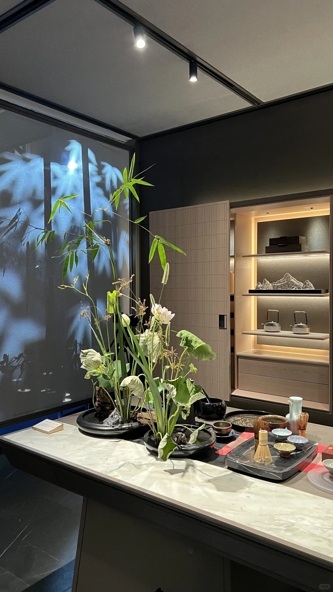 2025建材展的绿植选美大赛?，冠军是...