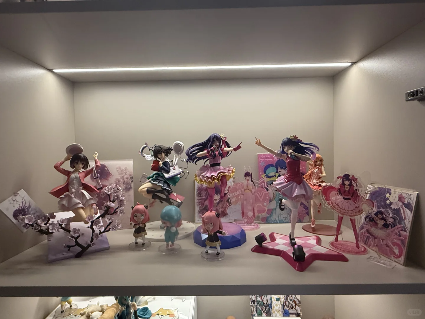 入宅10多年，终于拥有了我的手办柜