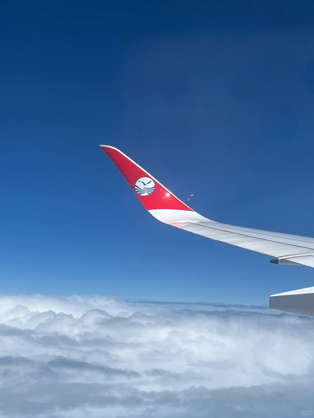 飞行日记｜又是被热情投喂的一次