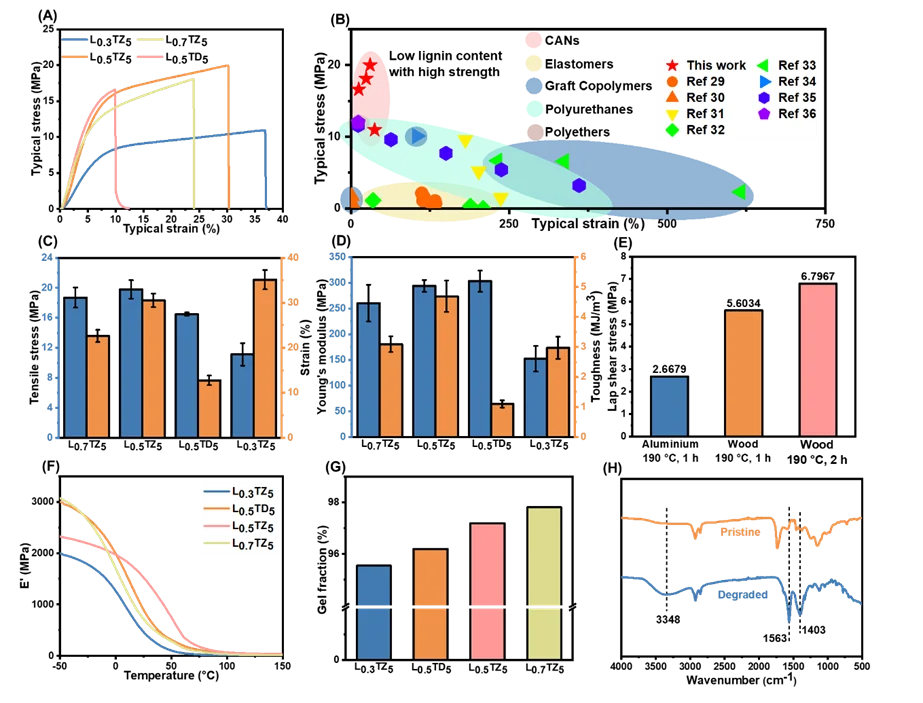 生物质基材料实现高效光热电转换