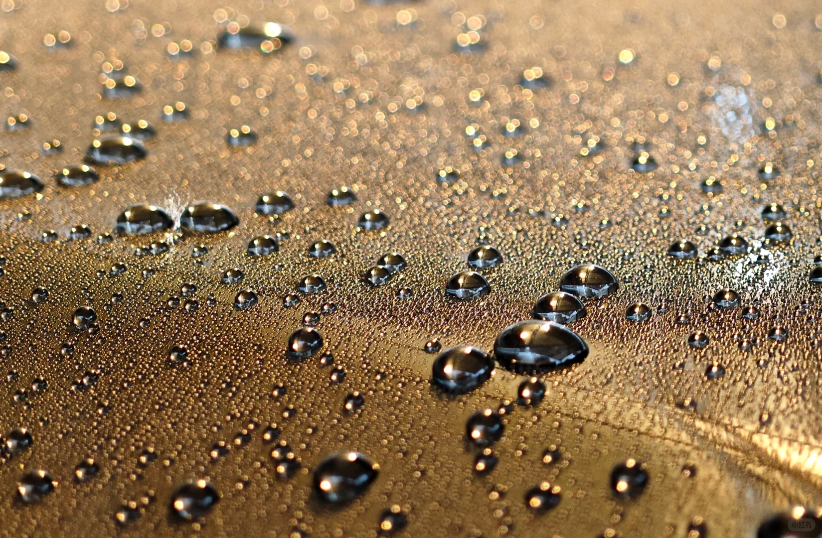 汽美的年终总结