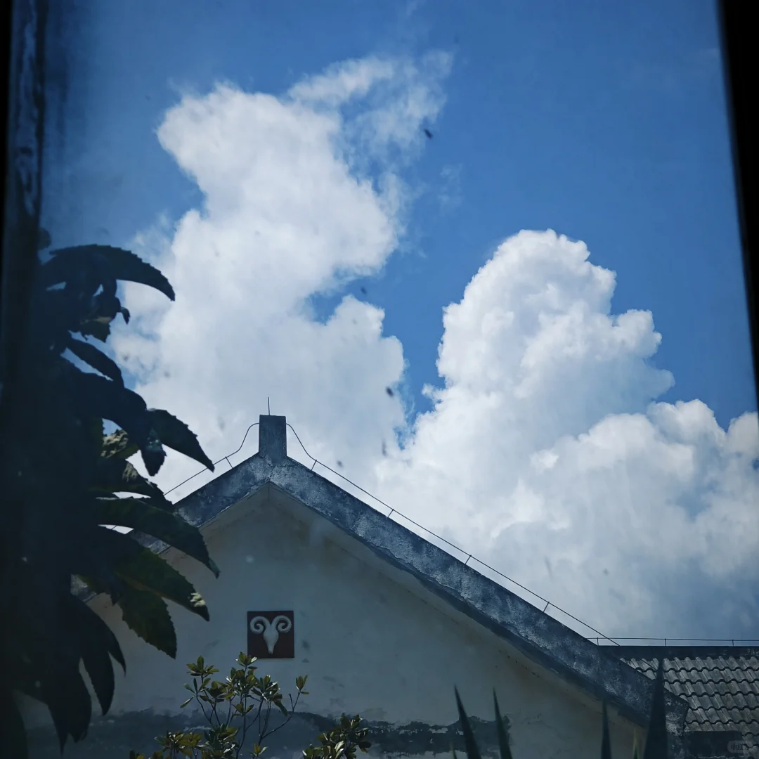 那是一条从雏鸡到牦牛的兽医路