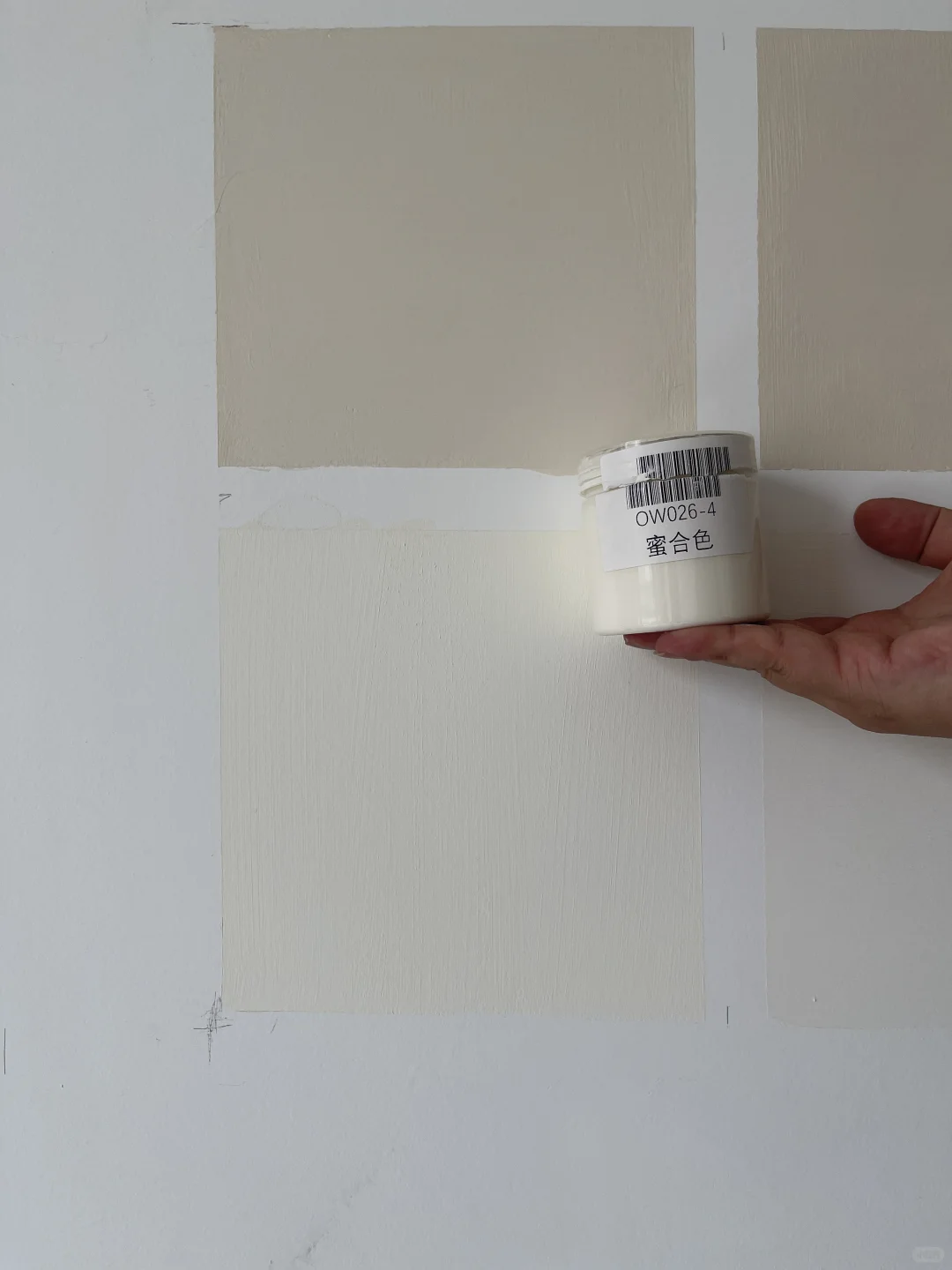 “阴天”8款热门乳胶漆试色 | 拒绝踩坑