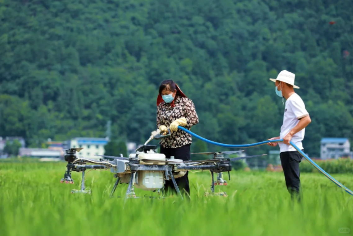 ✈️洛阳地区,低空经济➕农业