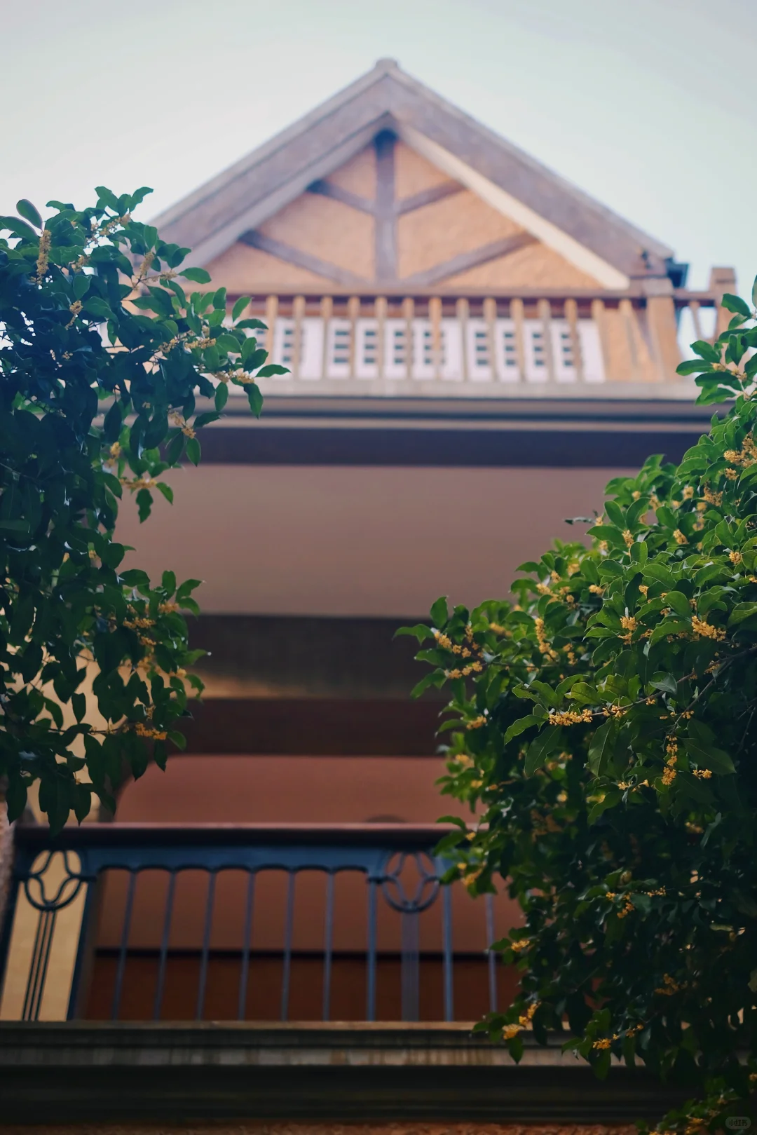 建筑可阅读｜上音·音乐城堡