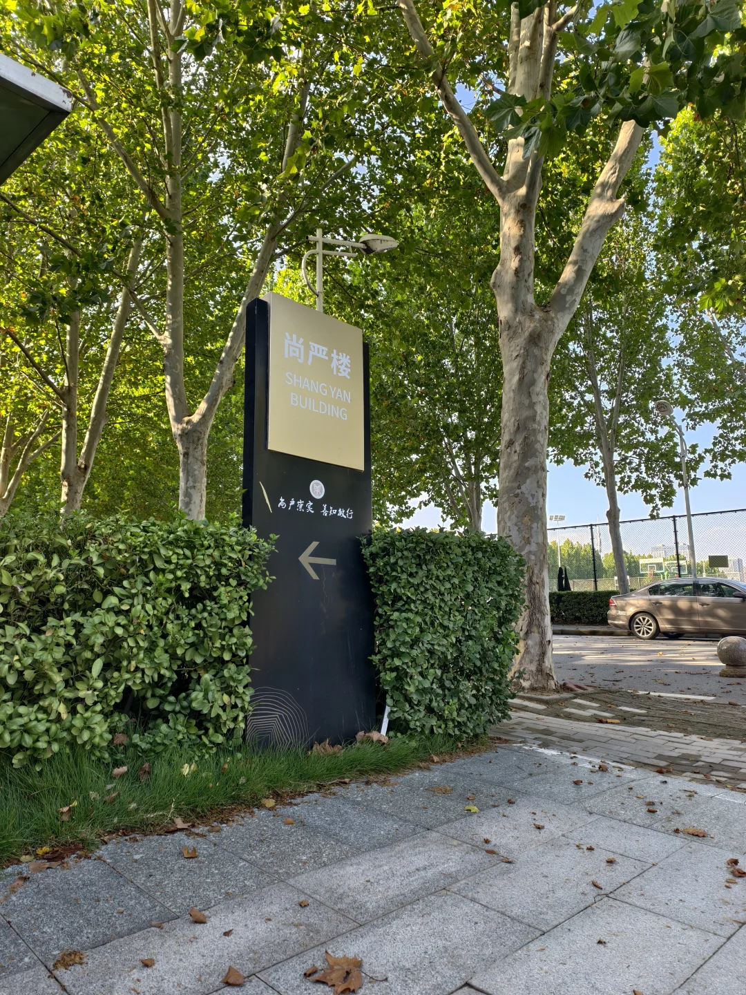 河南牧业的友友们寻宝了