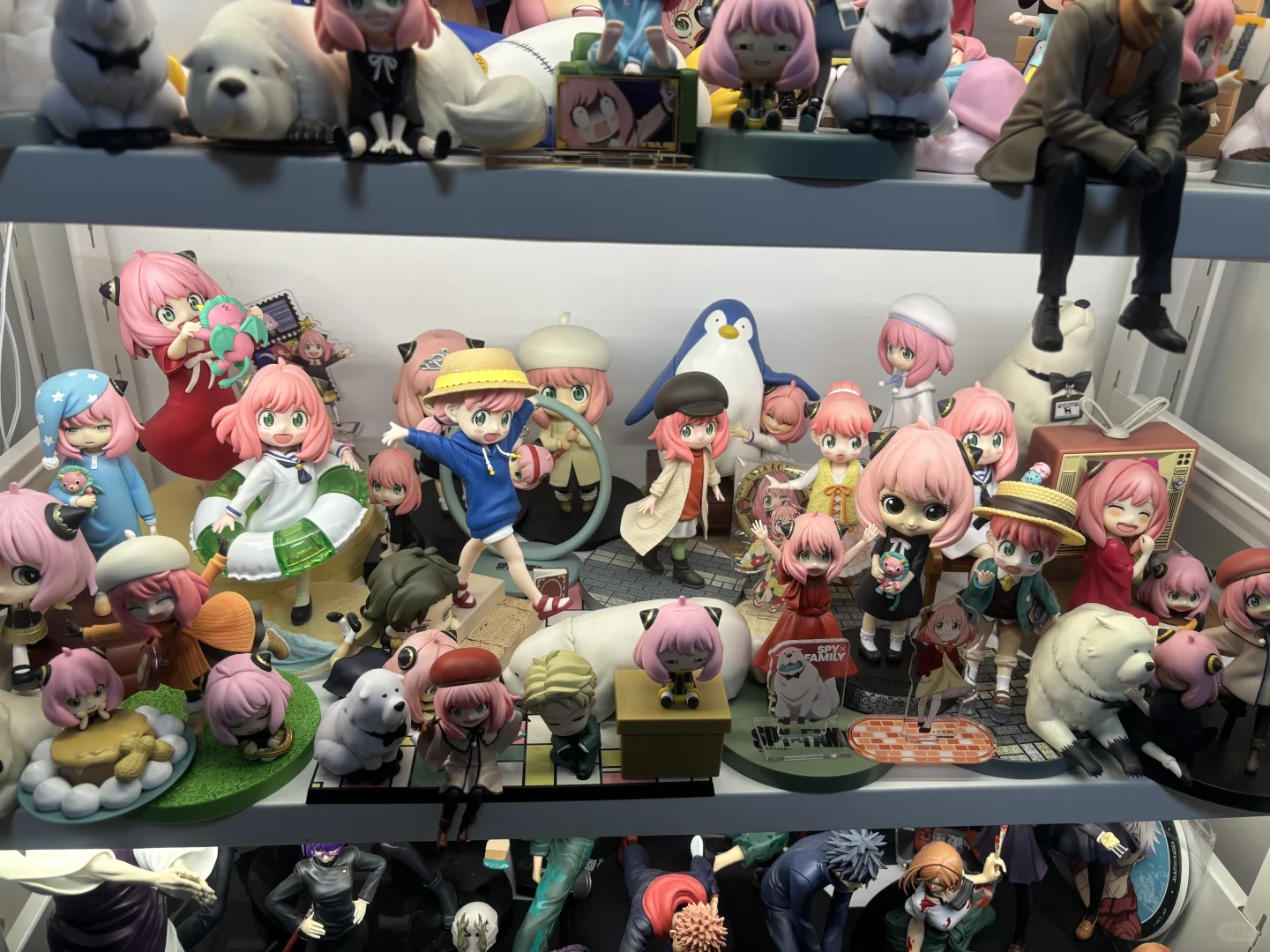 最近初步入手阿尼亚GK，顺便展示所有阿尼亚