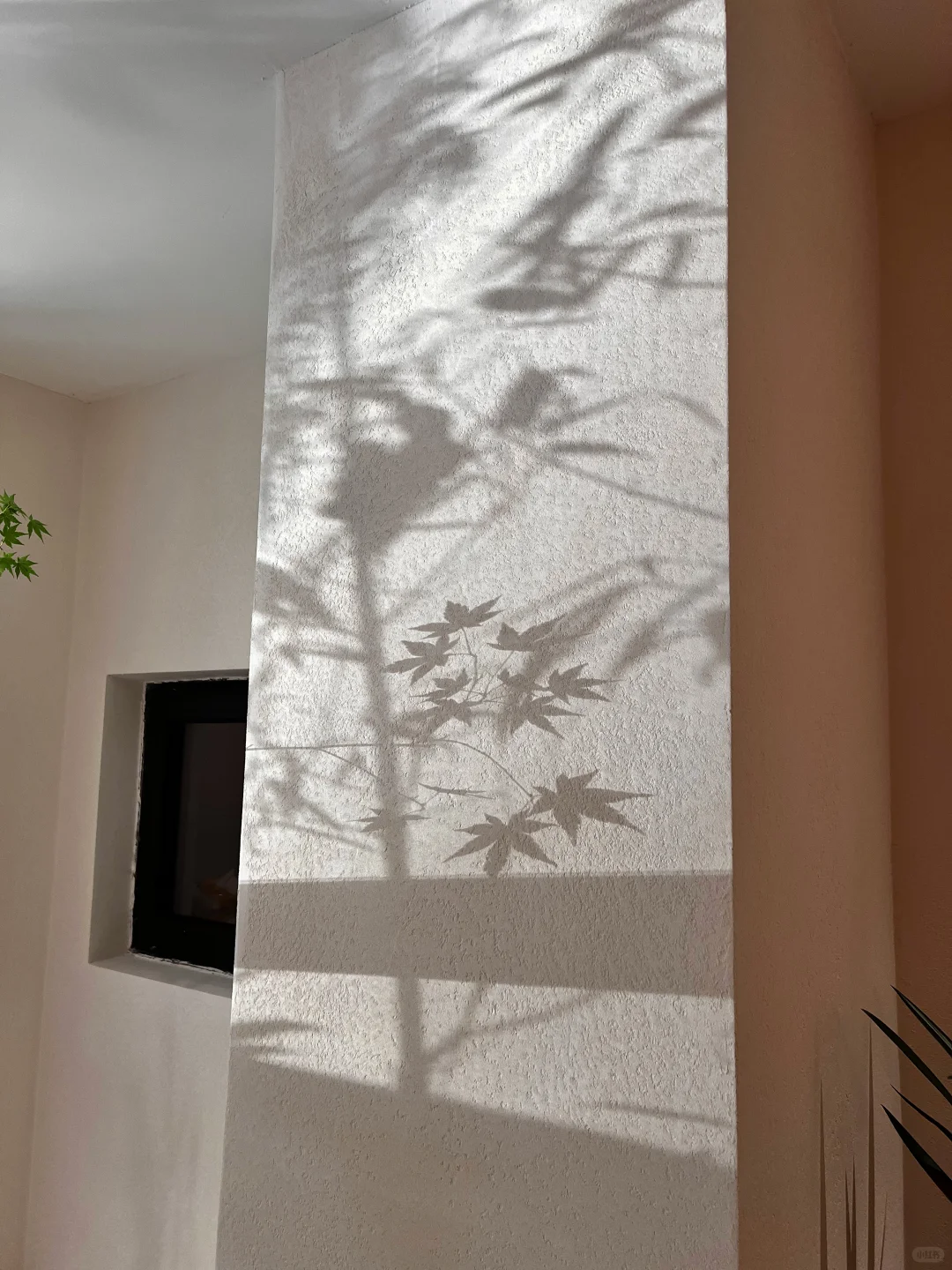 自然光影下的莱姆岩石灰墙面