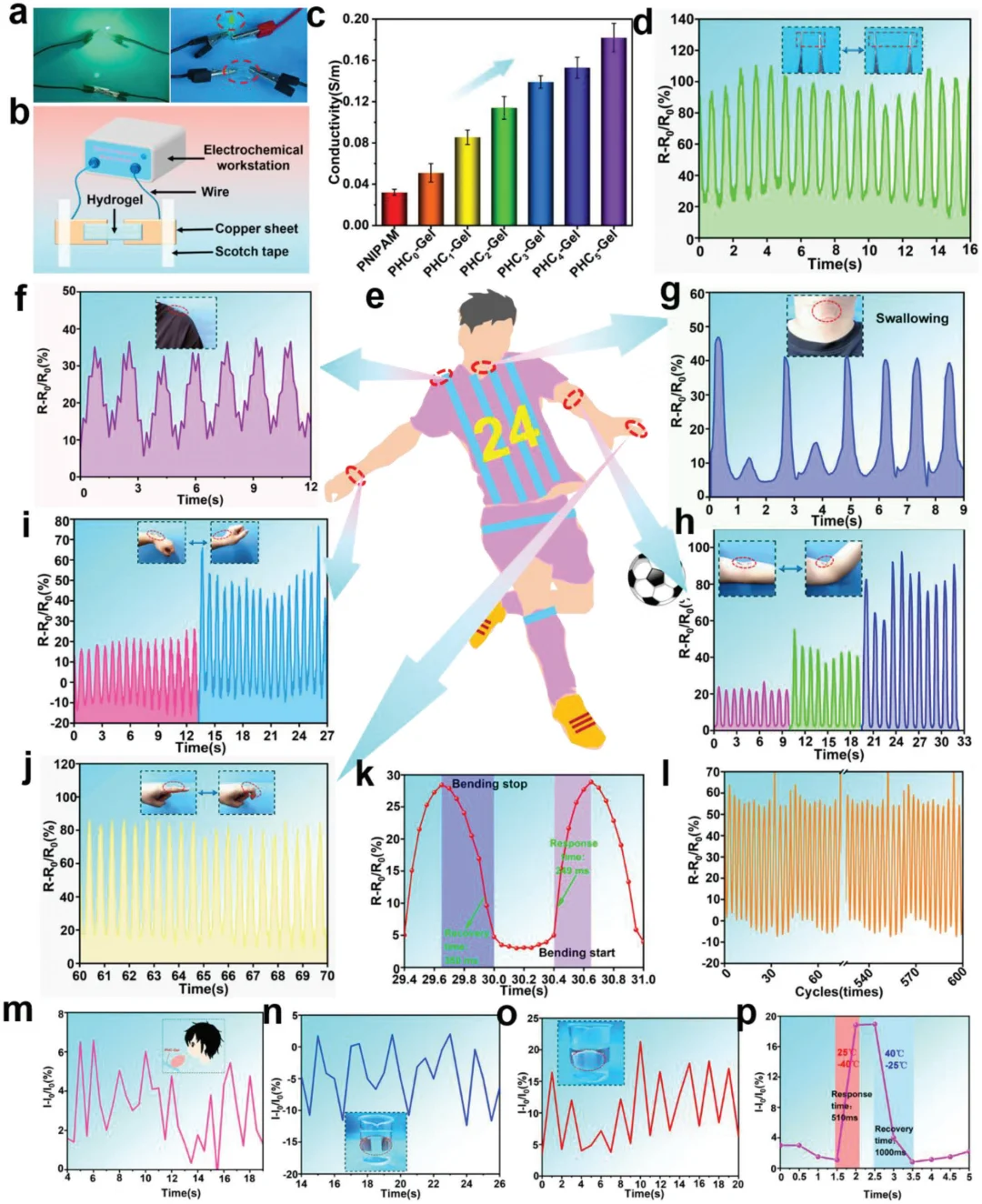 “变色龙”水凝胶,智能玻璃&可穿戴体温