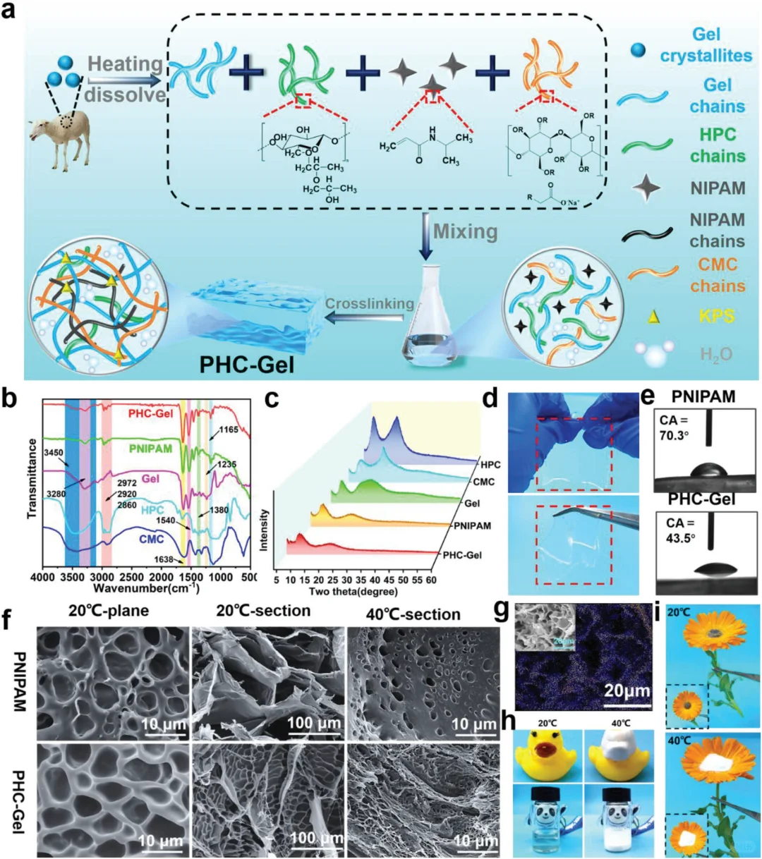 “变色龙”水凝胶,智能玻璃&可穿戴体温