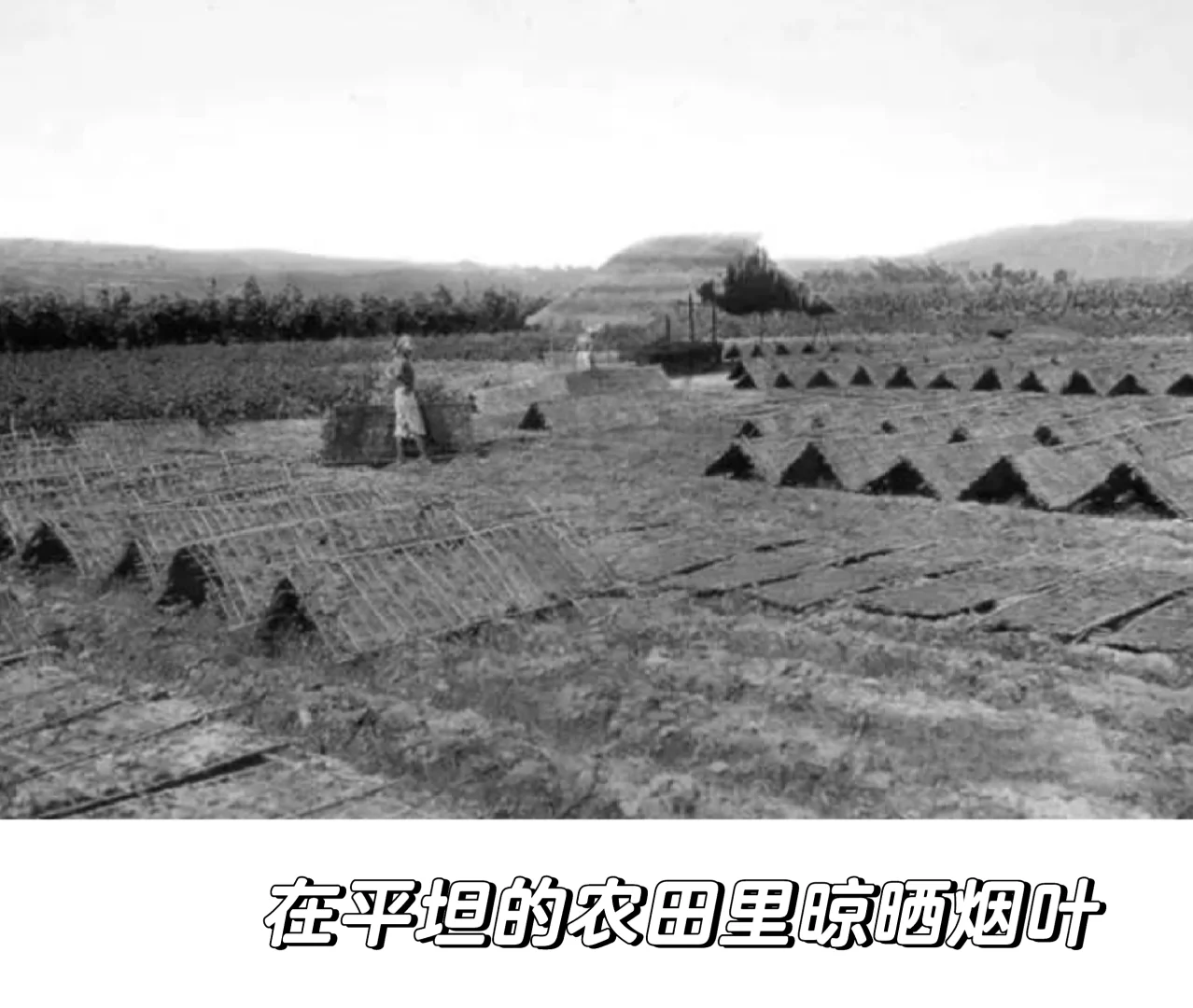 晚清至民国初年四川农村生活多元经济的交织