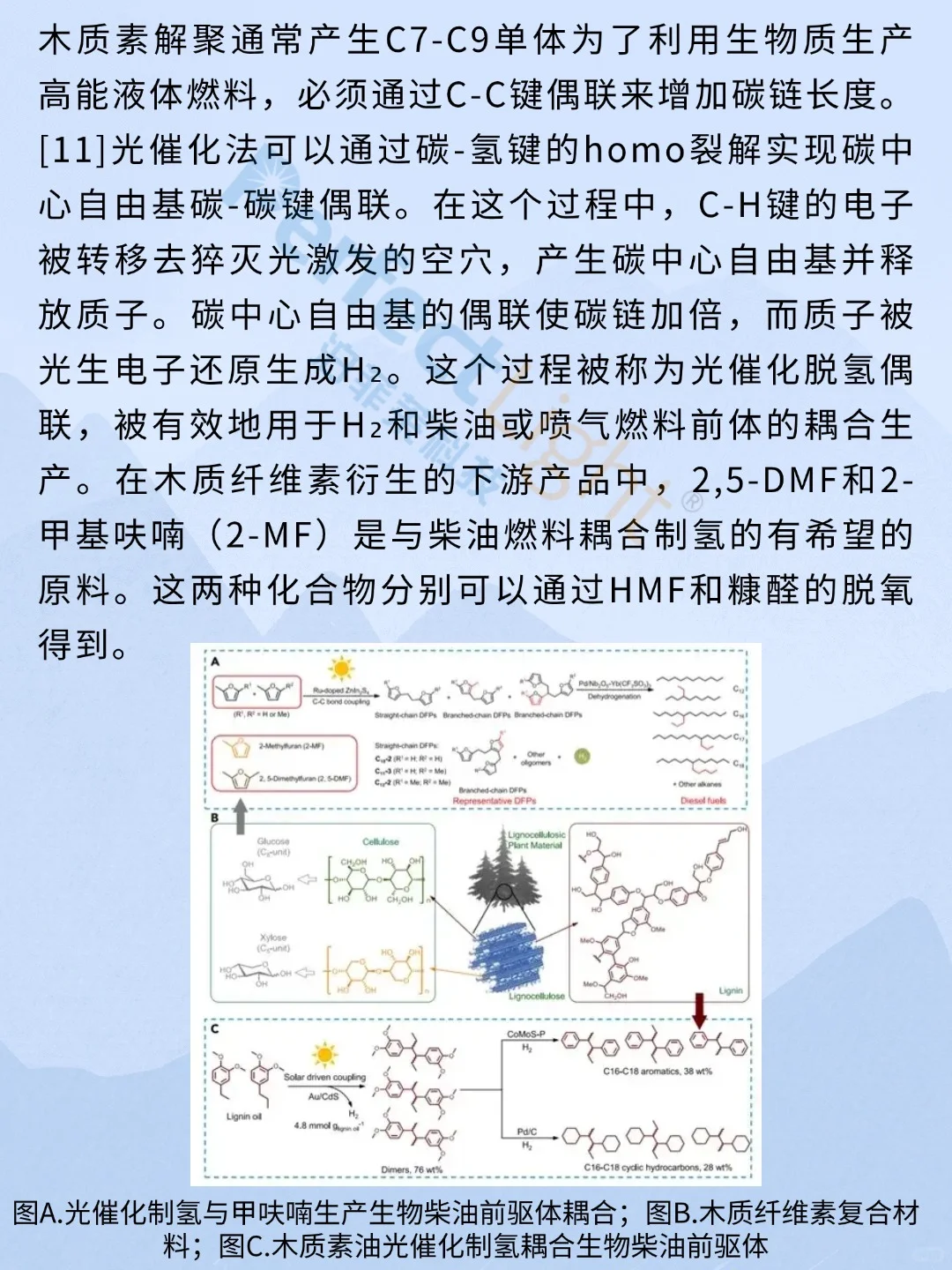 光催化生物质转化：最新研究进展与应用前景