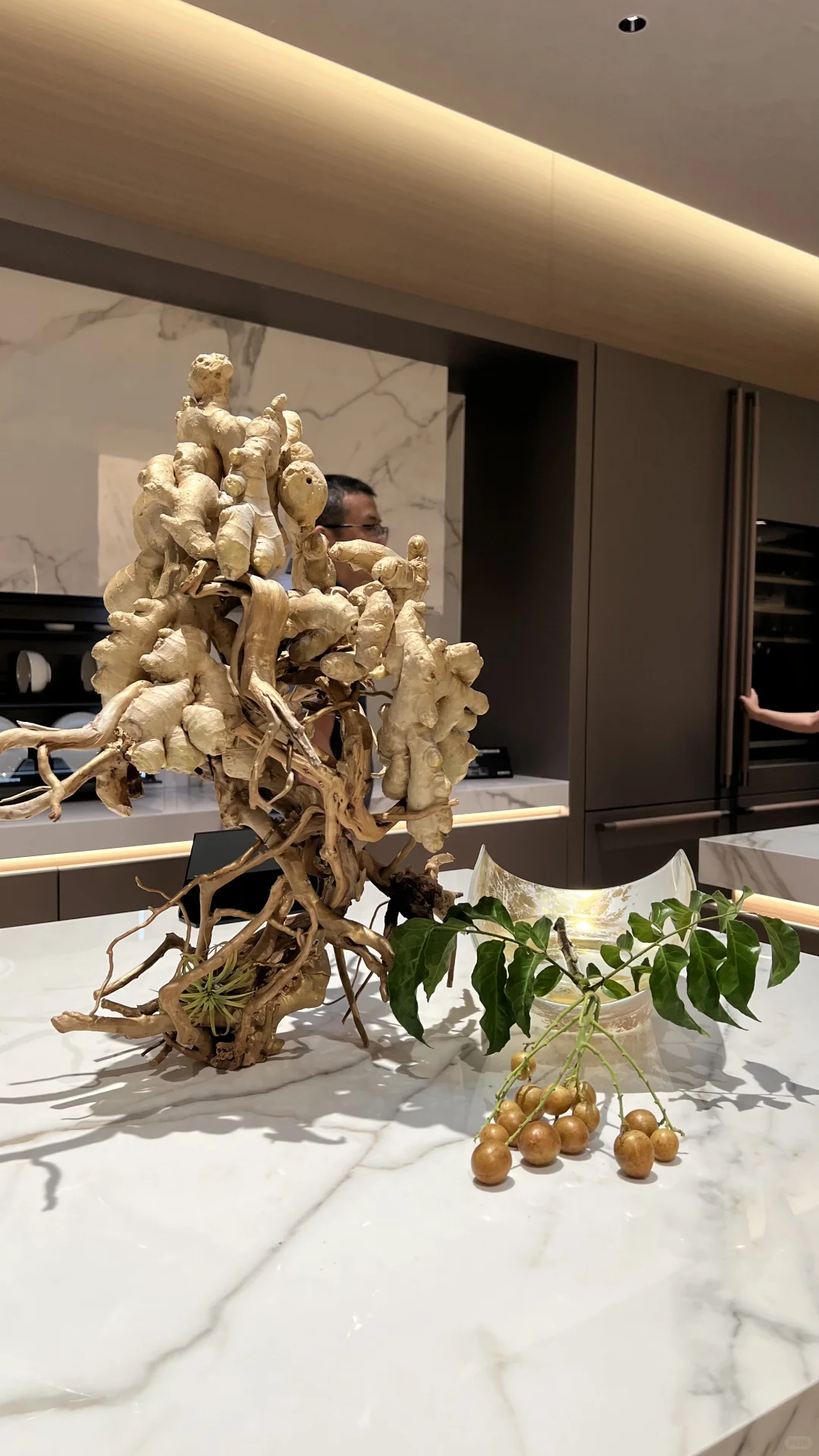 2025建材展的绿植选美大赛?，冠军是...