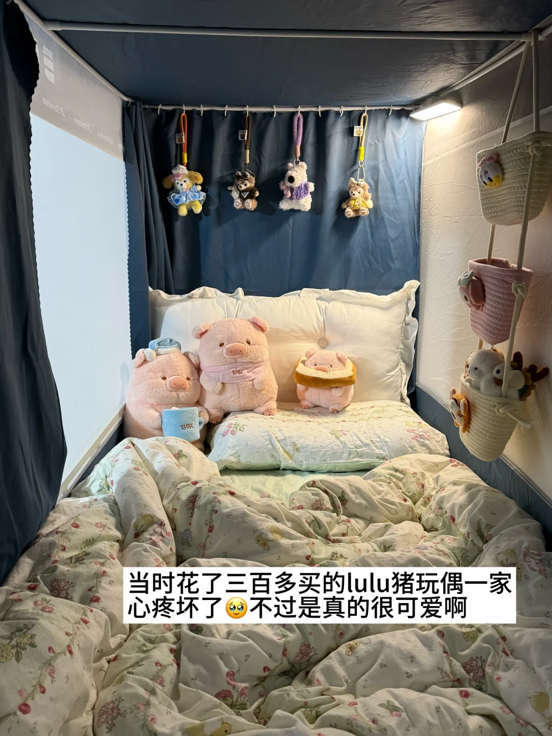 ✍️女大学生的超可爱玩偶分享?均价十几?