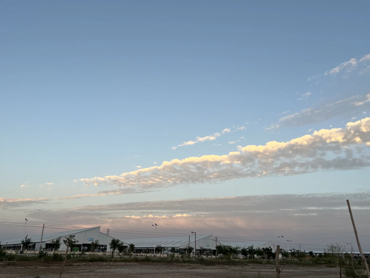 文科毕业生在牧场