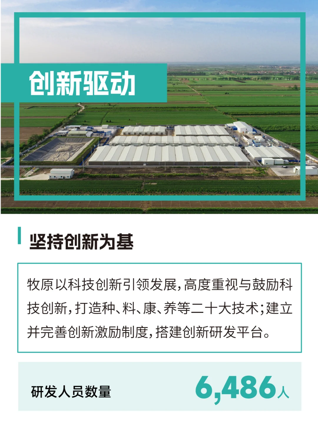 共创价值 共创未来 | 2024牧原股份ESG报告