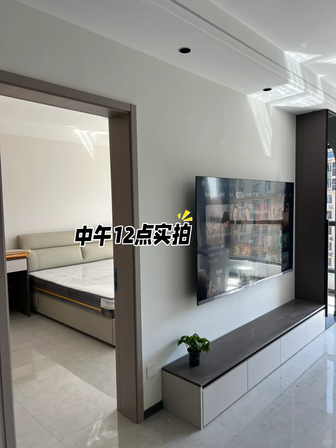 杏子灰?汝窑乳胶漆对比！无滤镜实拍