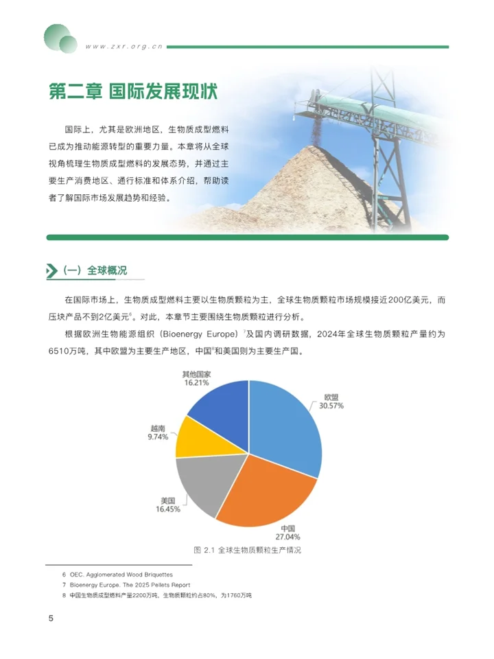 一篇报告洞察2025生物质成型燃料发展趋势