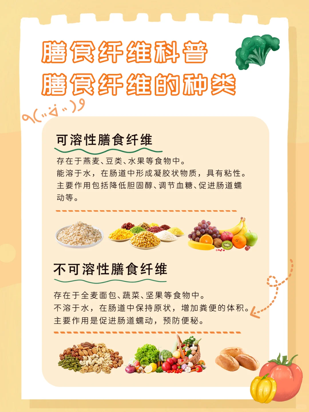 ?膳食纤维科普 | 健康生活必备?