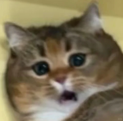 绍兴编外招聘驾驶员-4万多真的不如跑滴滴