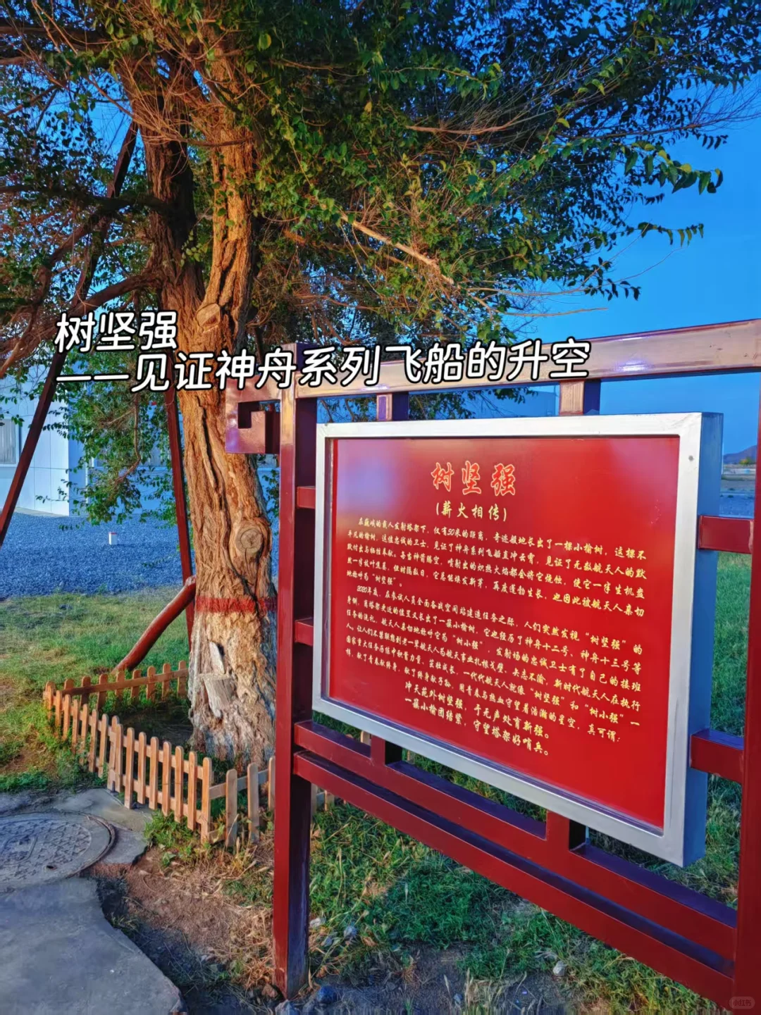 25年10月|酒泉发射基地神舟21载人发射观礼