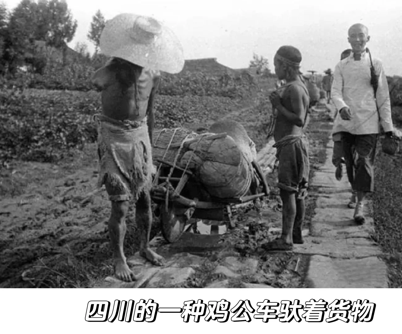 晚清至民国初年四川农村生活多元经济的交织