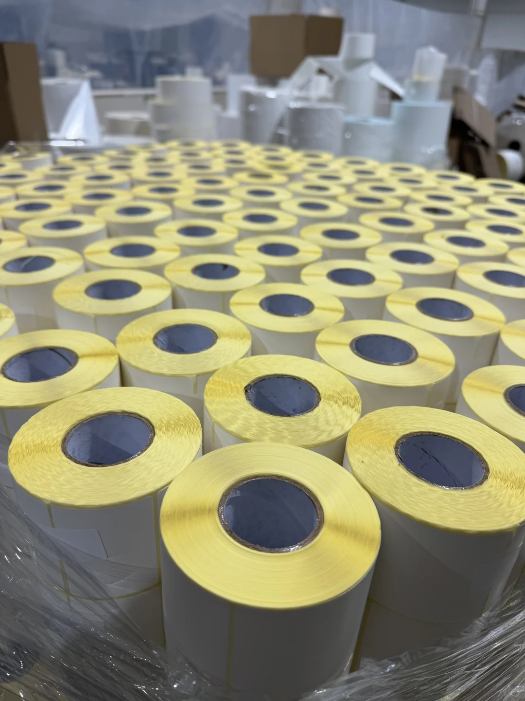 标签纸热胶与水胶的区别