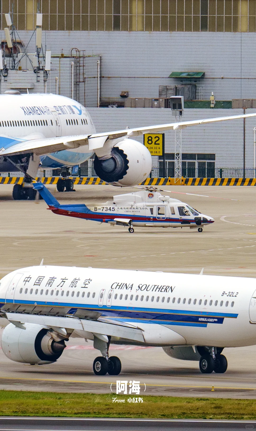 直升机在厦门可是稀罕物