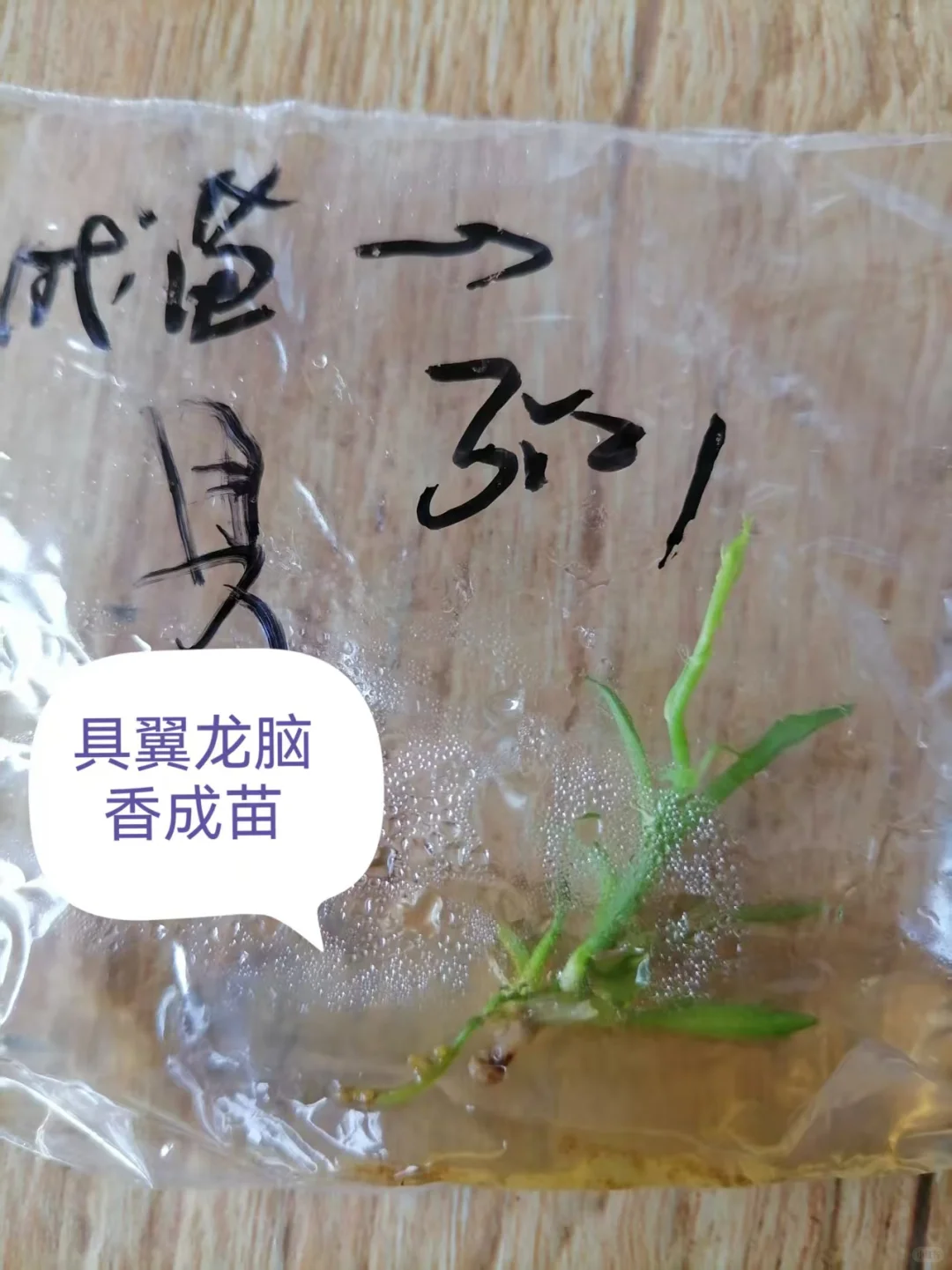 农业为什么挣钱难???