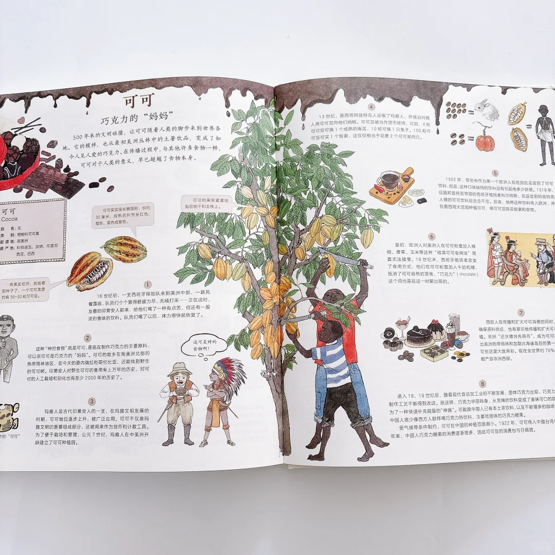 太好看了‼️每天和女儿抢着看这本科普书