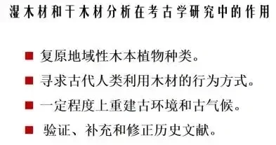 考古科普丨木材考古学