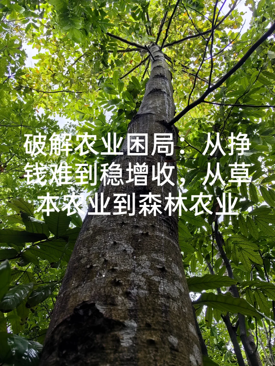 农业为什么挣钱难???