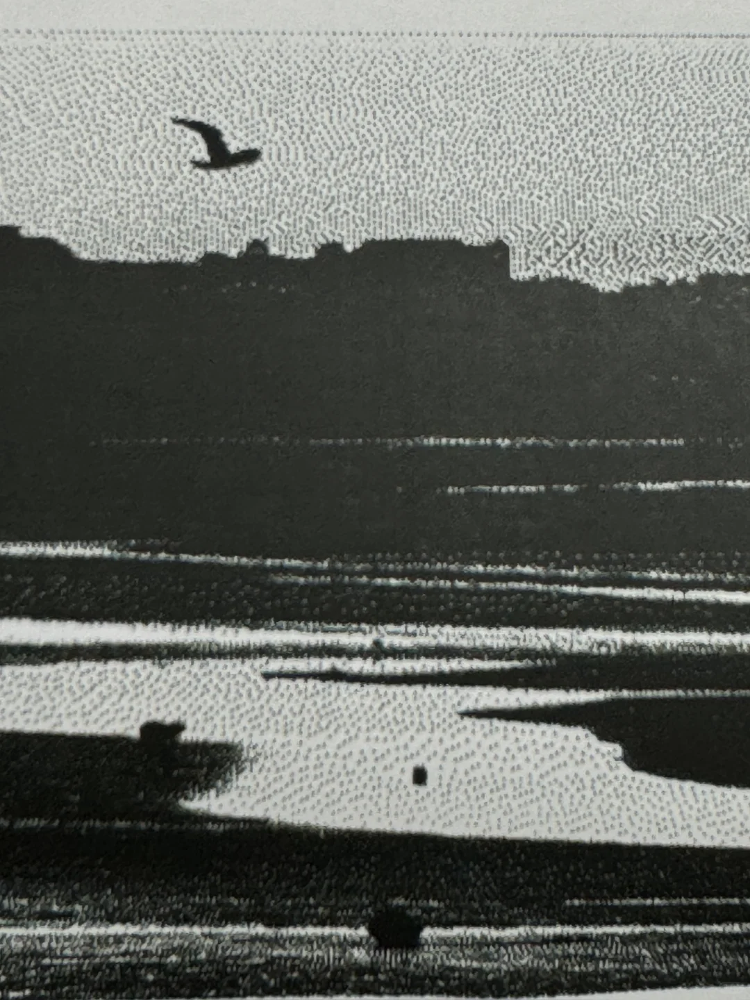 一些模糊的记忆被错题打印机唤醒