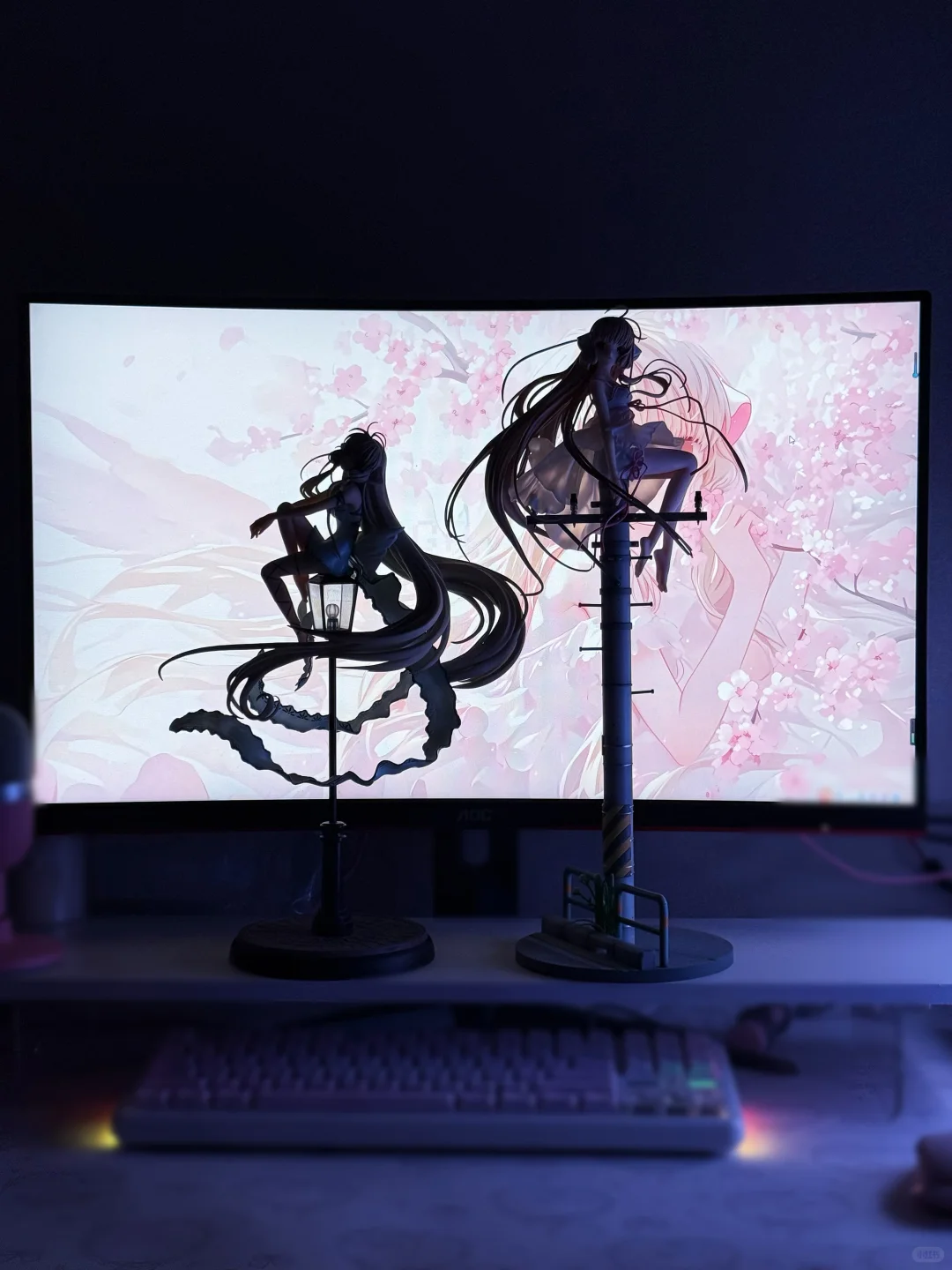 猫受屋的微风习习小叽到了ovo