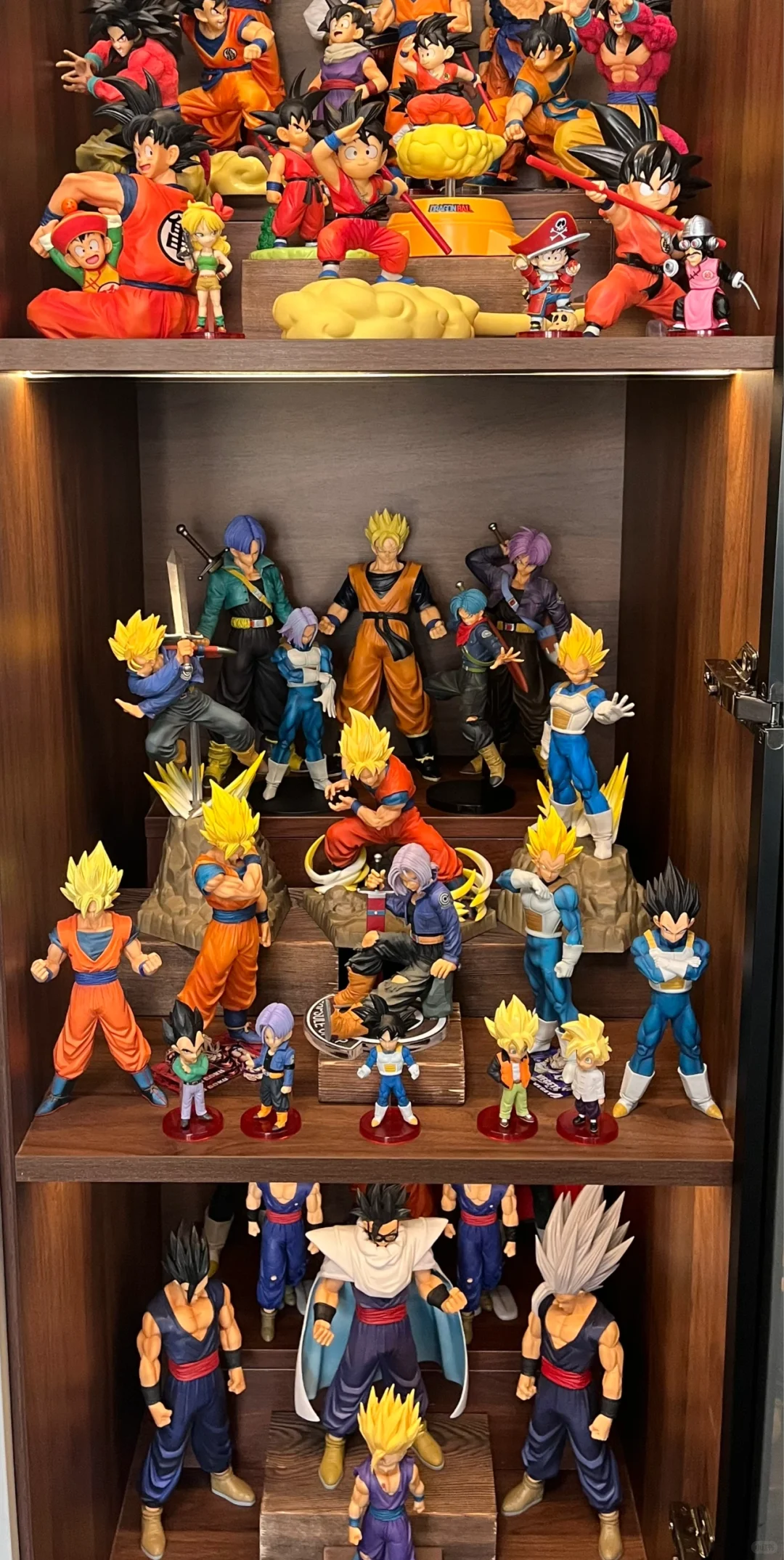 入坑半年的龙珠景品