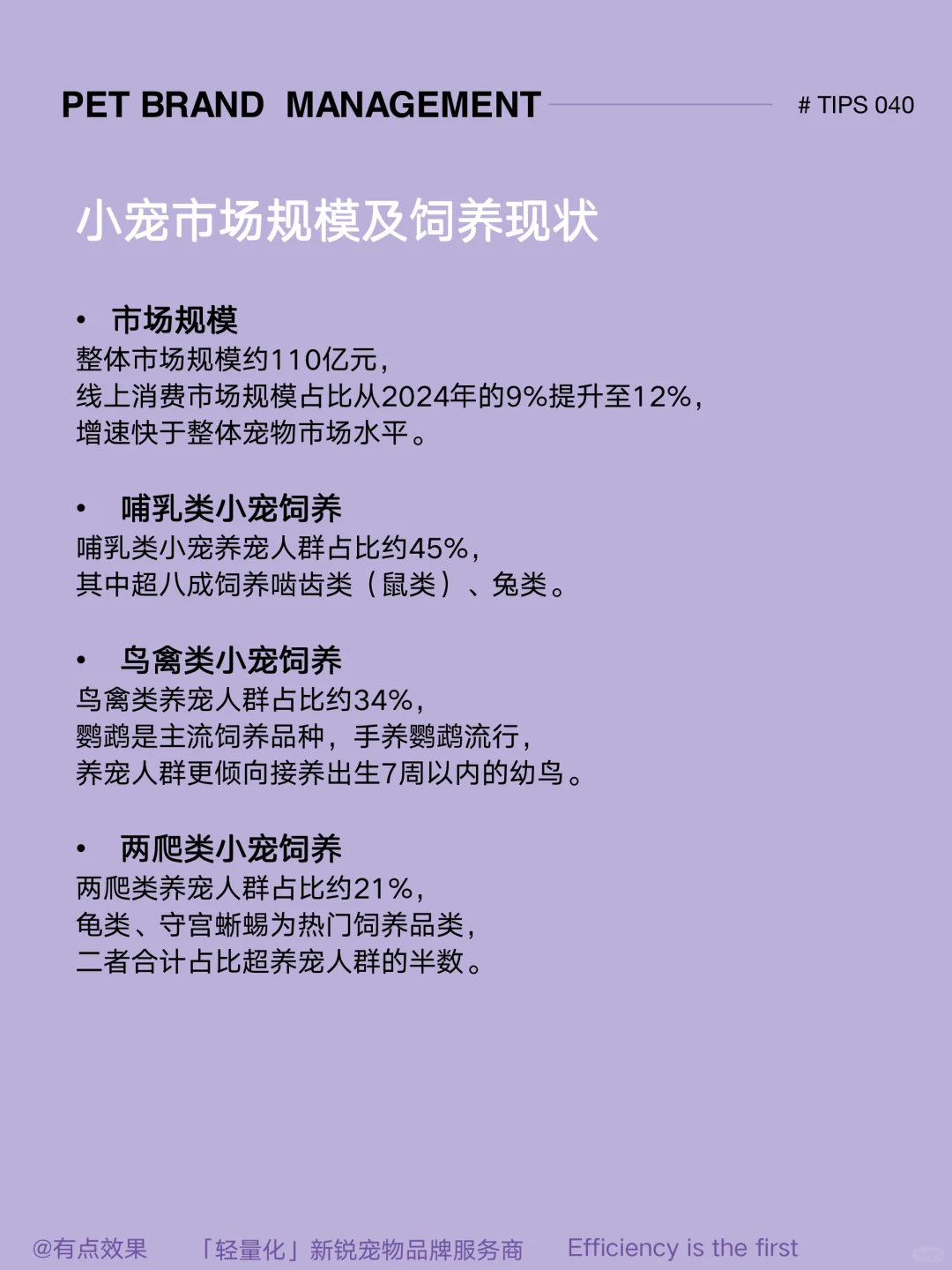 040tips｜2025小宠市场：鹦鹉