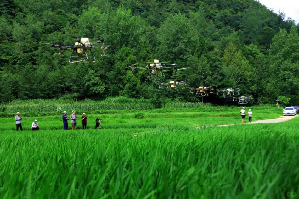 ✈️洛阳地区,低空经济➕农业