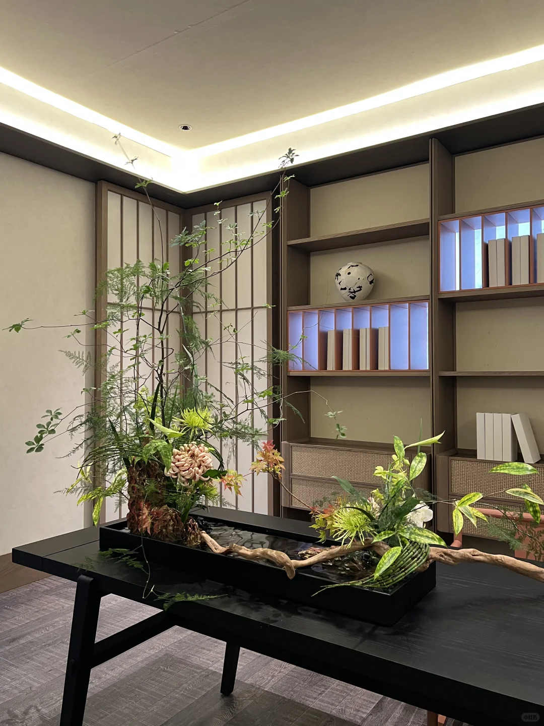 2025建材展的绿植选美大赛?，冠军是...