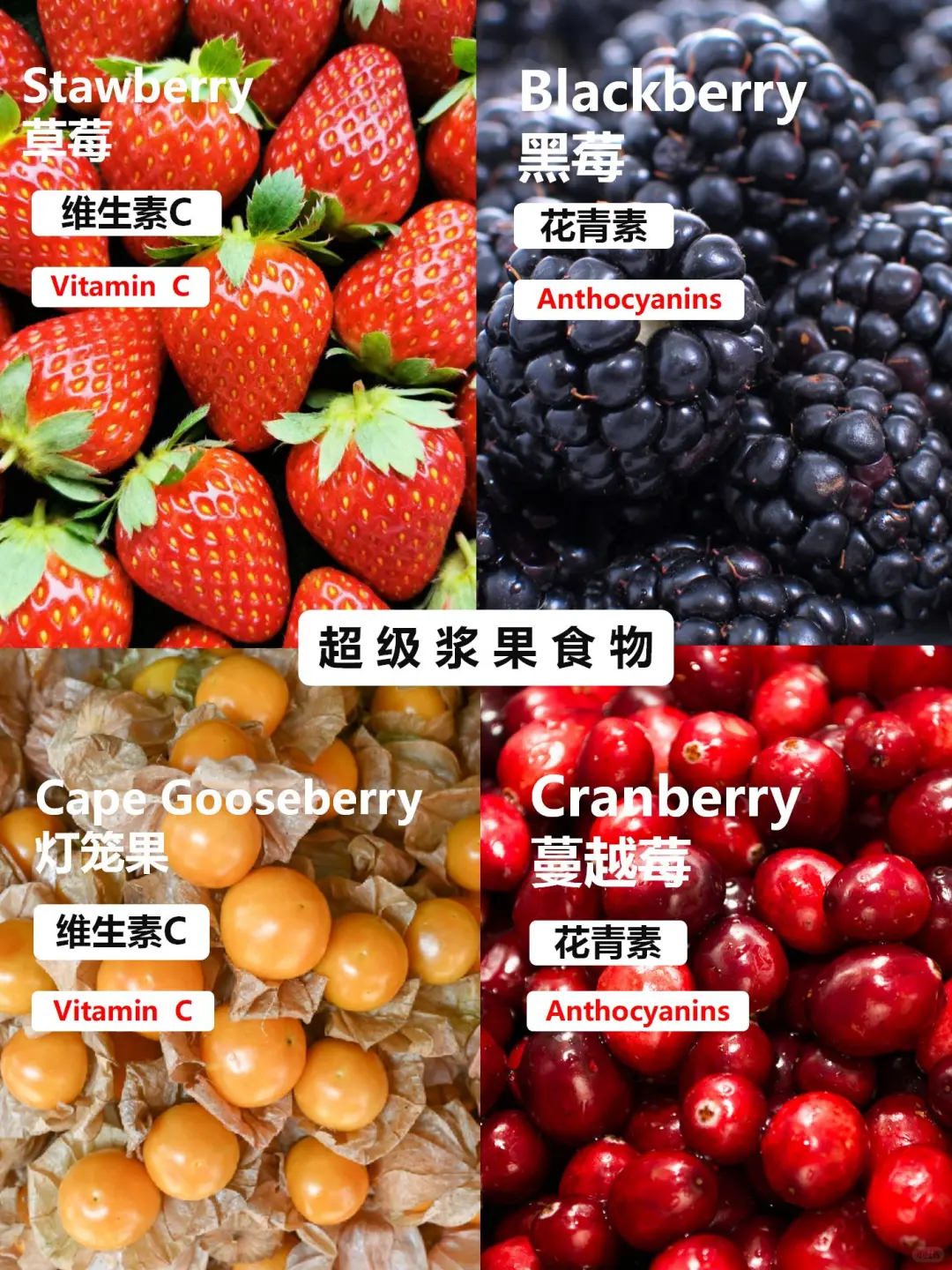 哈佛大学推荐的9大类超级食物！