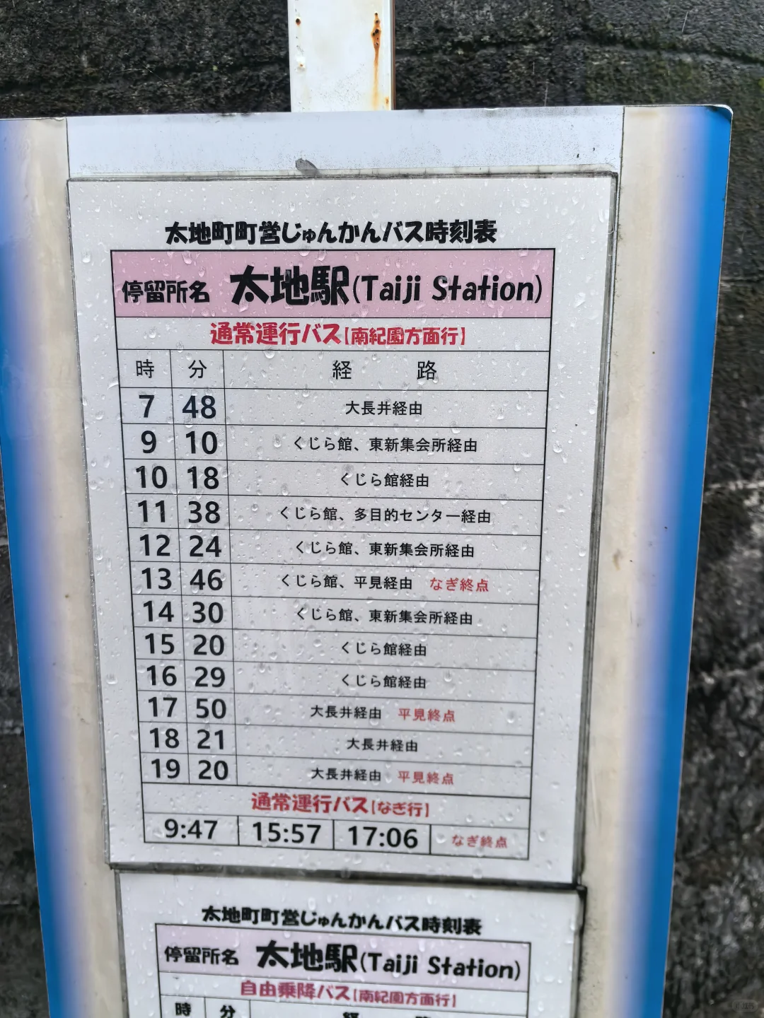 日本关西地区纪伊半岛和歌山太地町，海豚湾