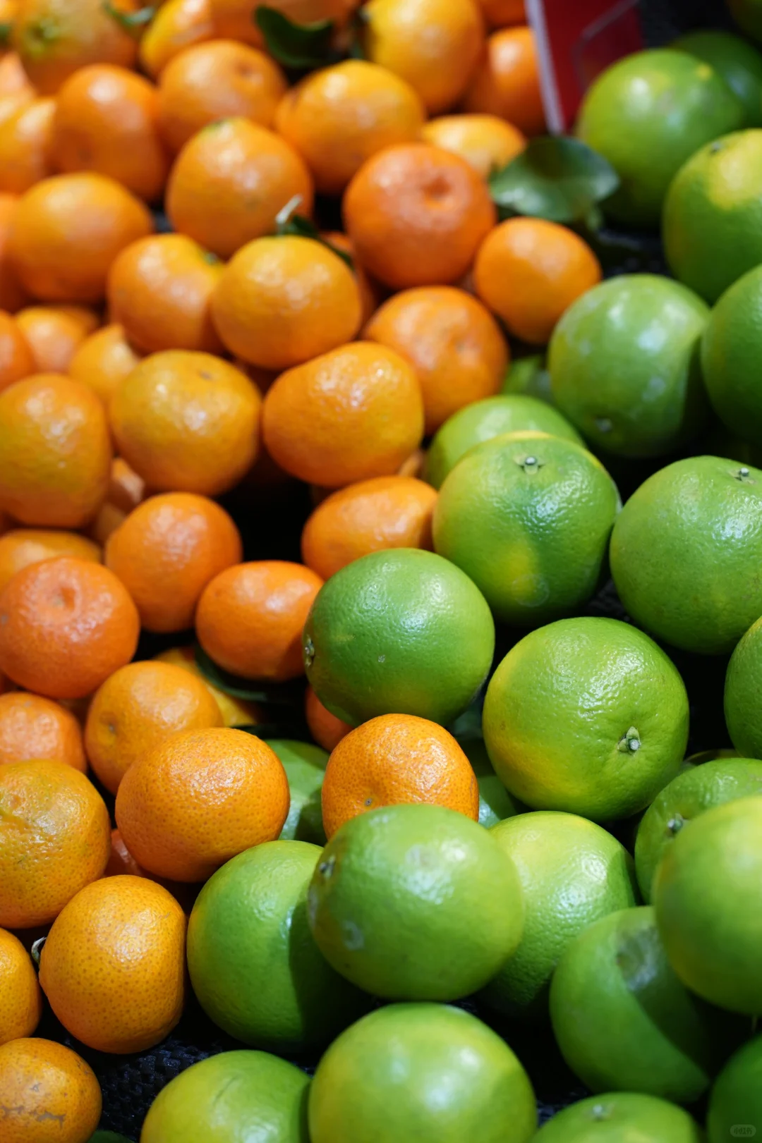 美食林又又双叒叕上新啦！