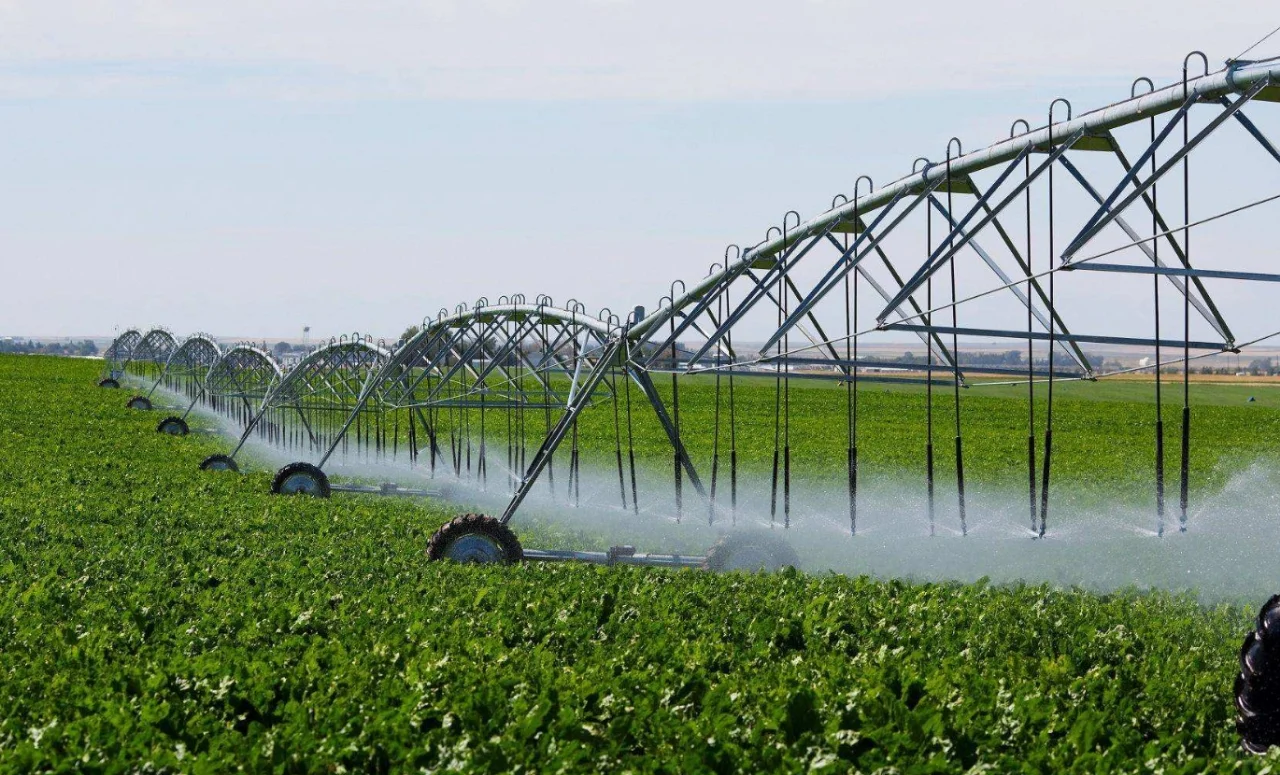 ?农作物灌溉秘籍:选对方式,作物更茁壮!