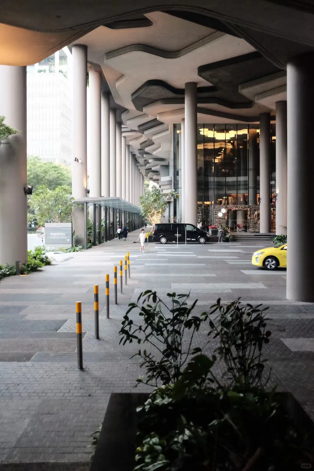 建筑师私藏的新加坡空中森林酒店拍照攻略