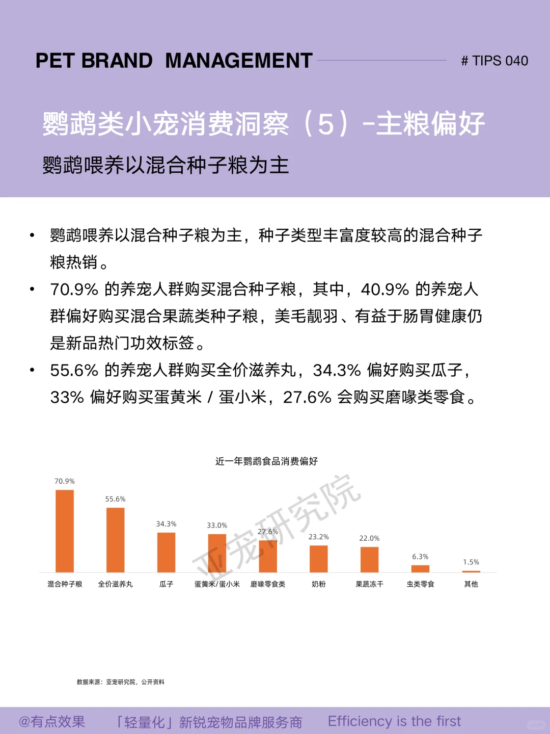040tips｜2025小宠市场：鹦鹉